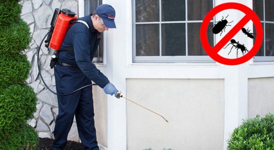 Abana Haşere İlaçlama böcek ilaçlama ve haşere kontrolü — ilaclama-tr.com